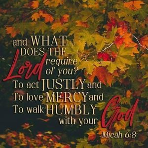 Meet your Posher, Phyllis